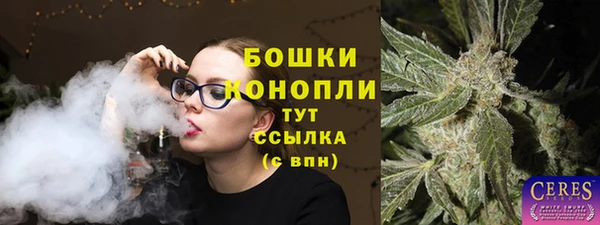 гидра Медногорск