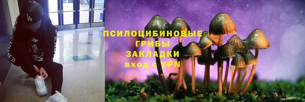 гидра Медногорск