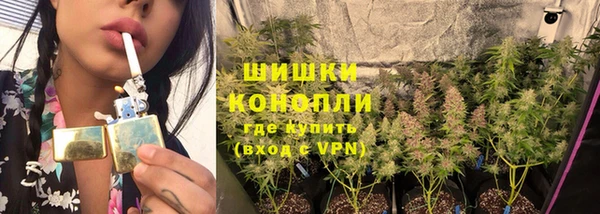 дмт Михайлов