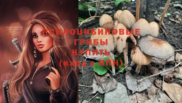 дмт Михайлов
