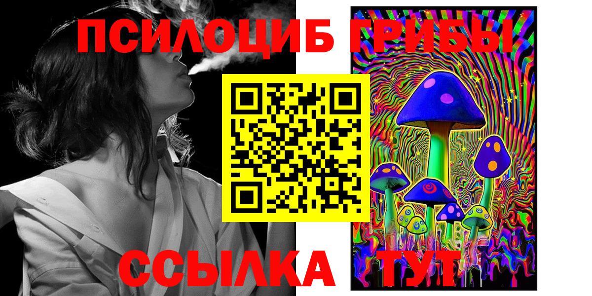 Псилоцибиновые грибы прущие грибы Михайловск