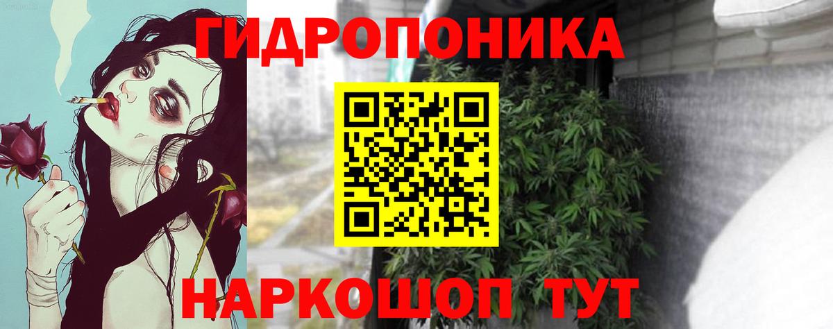 Михайловск  Бошки Шишки тримм  Каннабис Bruce Banner  Каннабис SATIVA & INDICA  Вход с VPN 